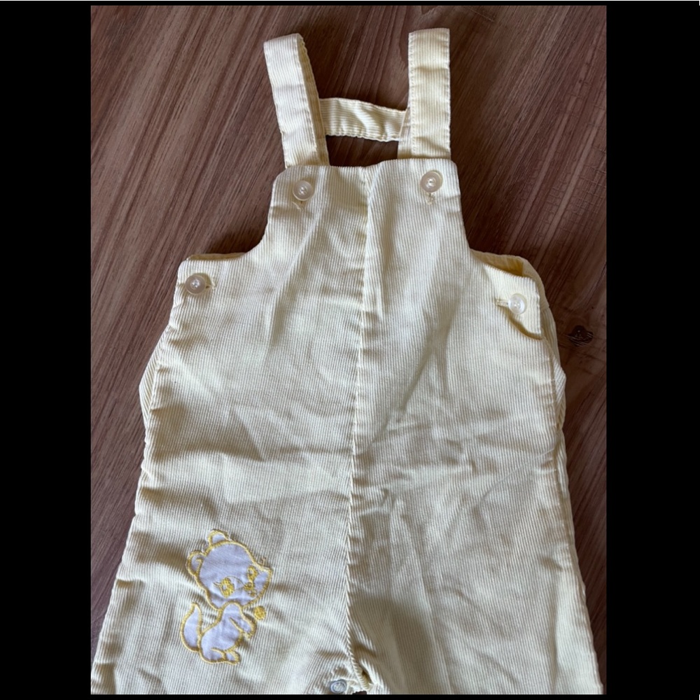 Vintage Health-tex squirrel? corduroy overall 🐿